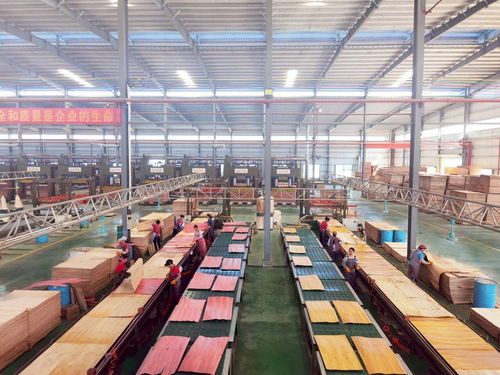 啟陽新材料 勇立潮頭，成為貴港首家獲全國工業產品生產許可證的飼料原料銷售企業